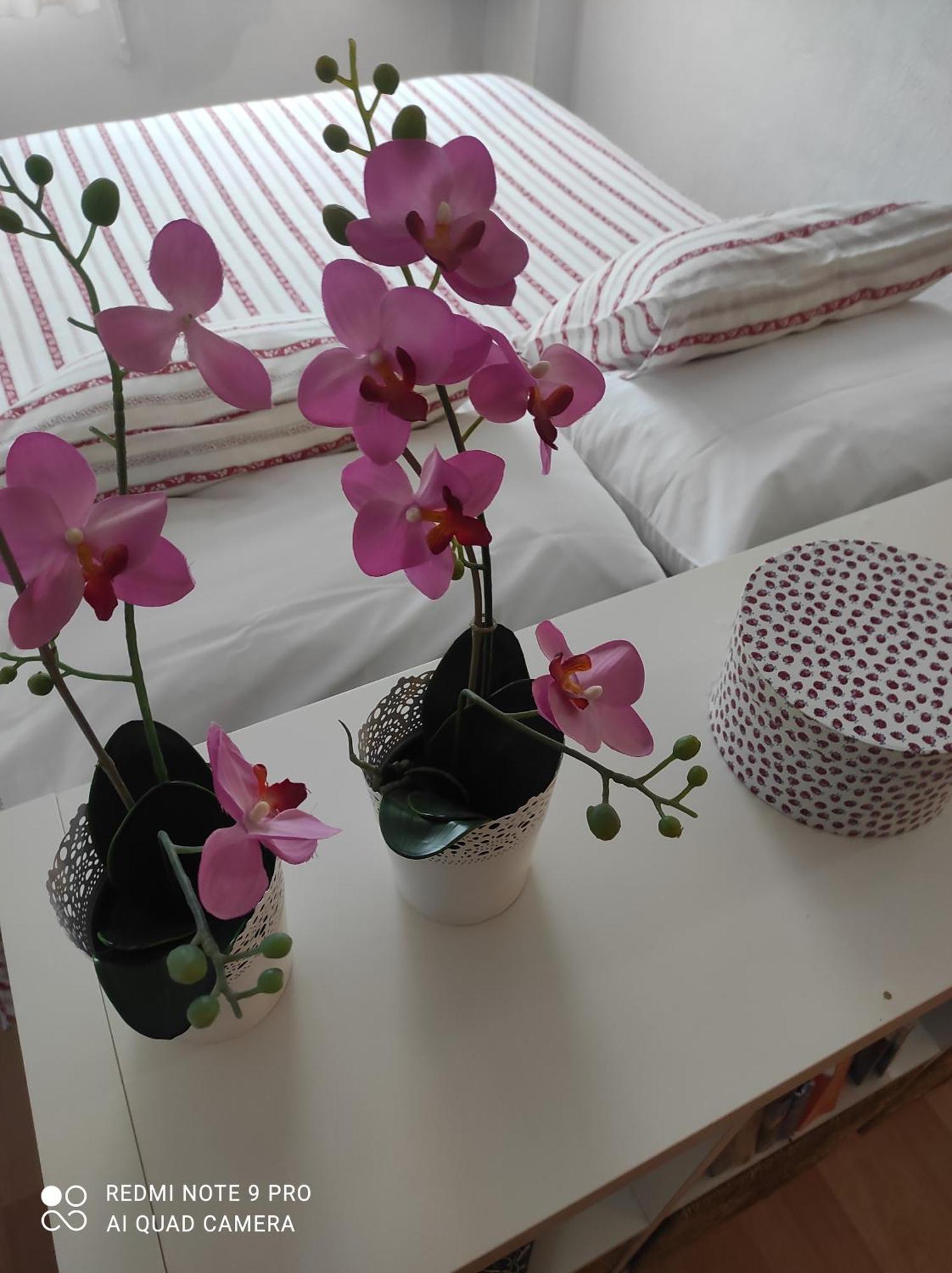 San Francisco Sea View Apartment เบนัลมาเดนา ภายนอก รูปภาพ